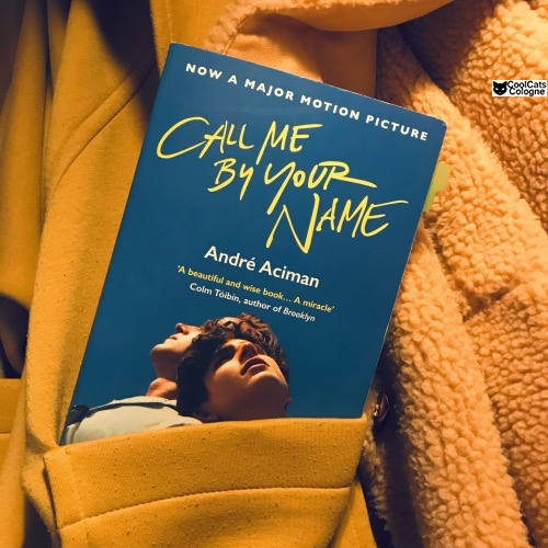 andre caiman call me by your name